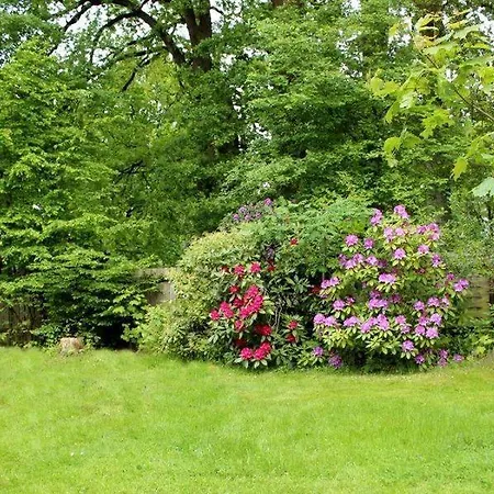 Bernsteinstube Wolf Hermannsburg