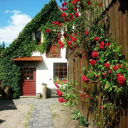 Bernsteinstube Wolf Hermannsburg